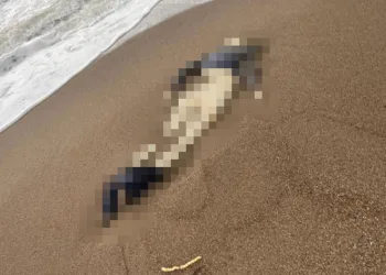 Otelin sahilinde kimliği belirsiz erkek cesedi bulundu