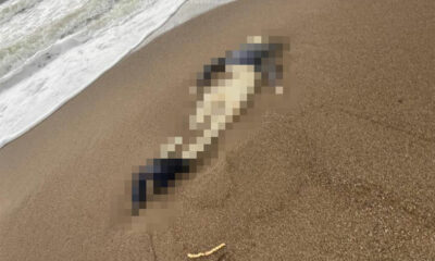 Otelin sahilinde kimliği belirsiz erkek cesedi bulundu