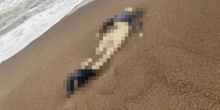 Otelin sahilinde kimliği belirsiz erkek cesedi bulundu