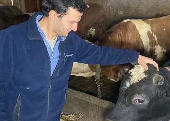 Üniversite mezunu genç köye yerleşip besici oldu
