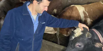 Üniversite mezunu genç köye yerleşip besici oldu