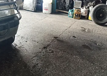 Minik küp şeker hırsızları