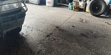 Minik küp şeker hırsızları