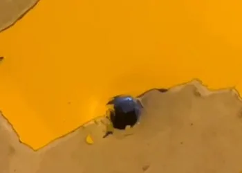 Taksi maganda kurşununa hedef oldu