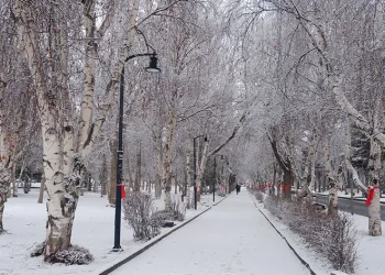 Erzurum’da kar yağışı şehri beyaza bürüdü