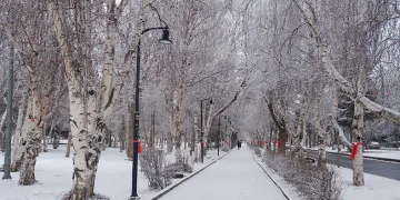 Erzurum’da kar yağışı şehri beyaza bürüdü