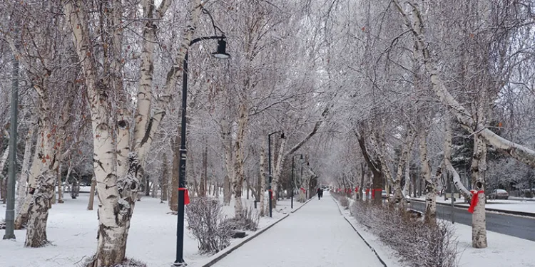 Erzurum’da kar yağışı şehri beyaza bürüdü
