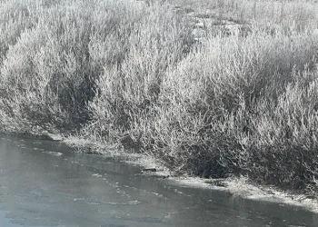 Yüksekova’da ağaçlar kırağı tuttu