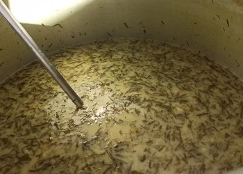 Yaptığı yemekler geçim kaynağı oldu