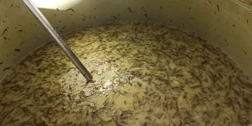 Yaptığı yemekler geçim kaynağı oldu
