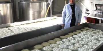 Başvurular 19 Şubat’ta son