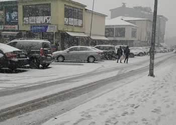 Varto’da kar yağışı