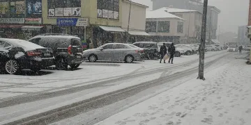 Varto’da kar yağışı