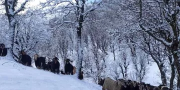 Batman’da kar yağışı nedeniyle kapanan köy yolları ulaşıma açıldı