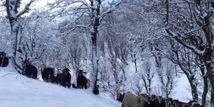 Batman’da kar yağışı nedeniyle kapanan köy yolları ulaşıma açıldı