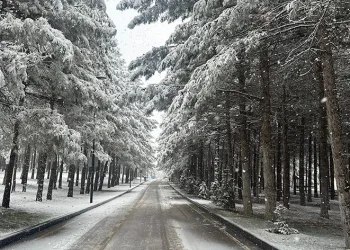 Gaziantep beyaza büründü