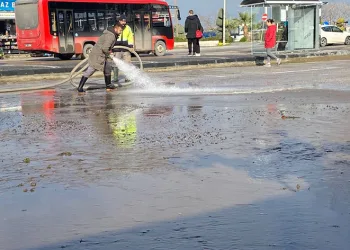 Selden etkilenen Ayvalık yaralarını sarıyor