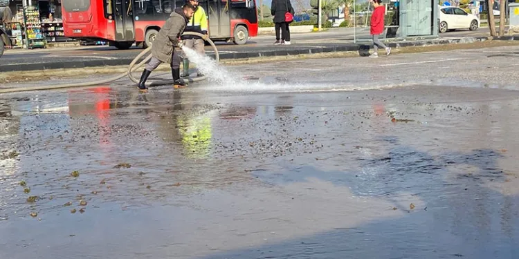 Selden etkilenen Ayvalık yaralarını sarıyor