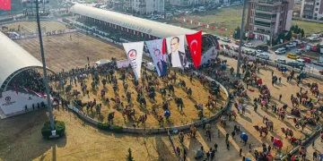 Şampiyon develer Denizli arenasına çıkıyor