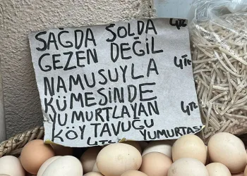 Sinoplu manavdan yumurta esprisi