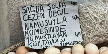 Sinoplu manavdan yumurta esprisi