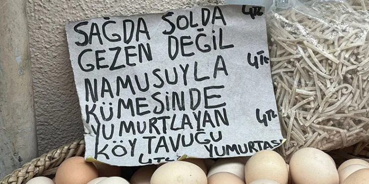 Sinoplu manavdan yumurta esprisi