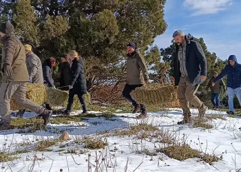 Spil’de yaban hayatı unutulmadı