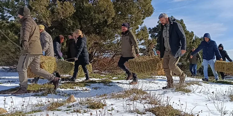 Spil’de yaban hayatı unutulmadı
