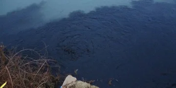 Manavgat Irmağı siyaha büründü