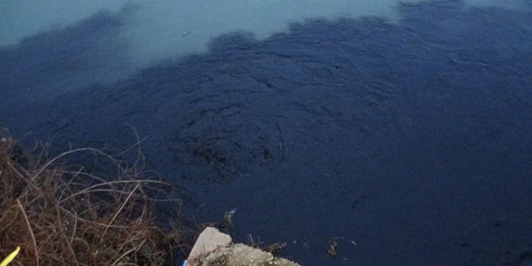 Manavgat Irmağı siyaha büründü