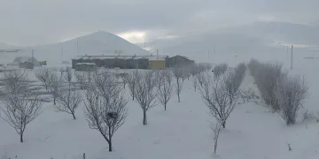 Van’da ağaçlar kırağı tuttu