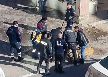 Koyunları ölen adam kendini yakmaya çalıştı