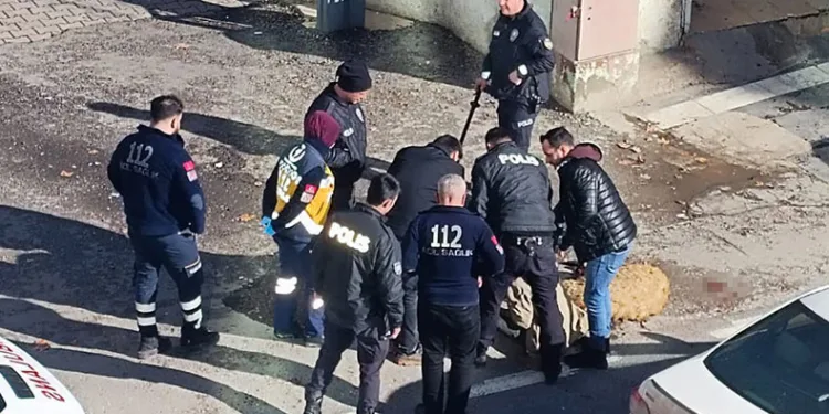 Koyunları ölen adam kendini yakmaya çalıştı
