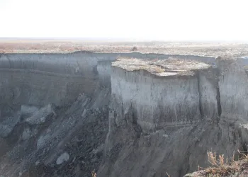 Kuş cenneti gölde dev obruk oluştu