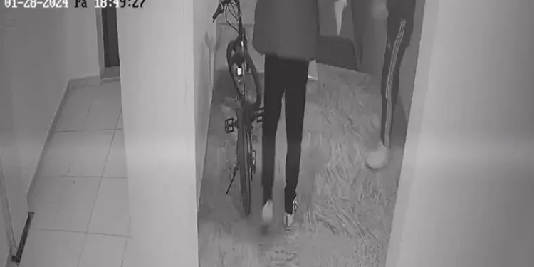 Ayakkabı hırsızları kameralara yakalandı