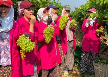 230 bin ton tarımsal gıda ihraç edildi