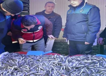 Semt pazarında balık denetimi