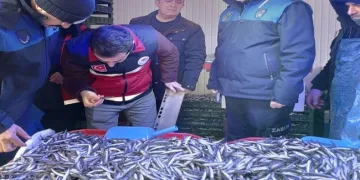 Semt pazarında balık denetimi