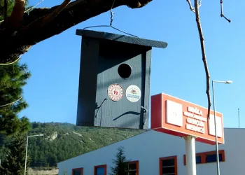 Gönüllü öğrencilerden kalpleri ısıtan örnek davranış