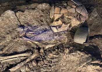 Mezar tercihleri tarihe ışık tutuyor