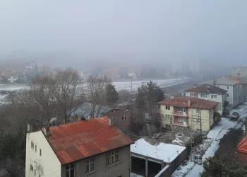 Kars’ta yoğun sis