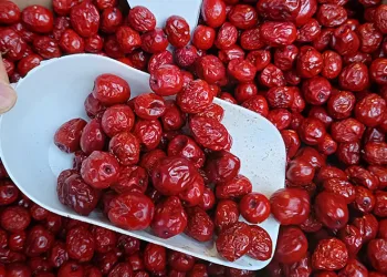 Faydalarıyla pes dedirtiyor