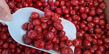 Faydalarıyla pes dedirtiyor