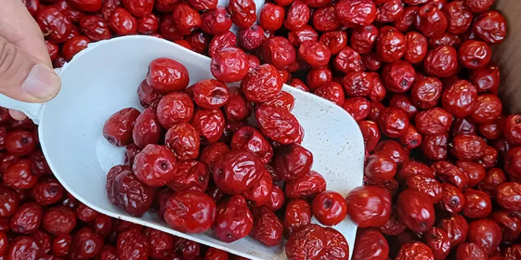 Faydalarıyla pes dedirtiyor