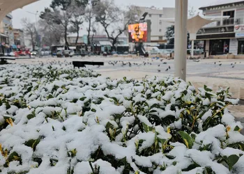 Sındırgı’da kar yağışı