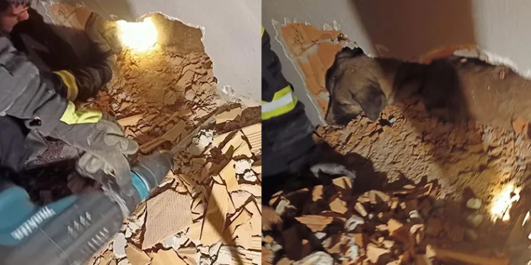 Duvar arasına sıkışan köpeği itfaiye kurtardı