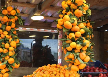 Mandalinada hasat iyi, satışlar kötü