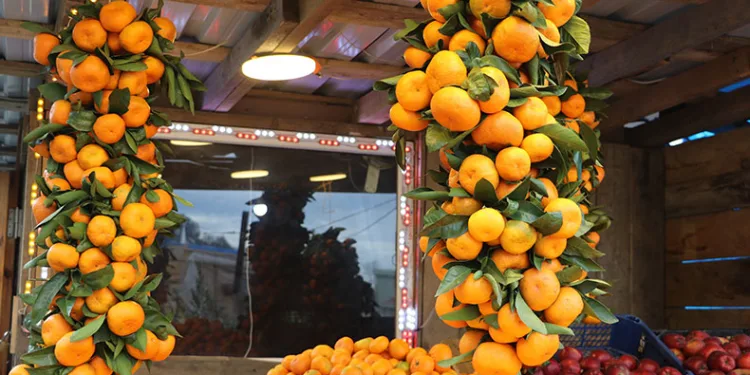 Mandalinada hasat iyi, satışlar kötü