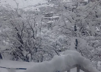 Hakkari kar hapsinde