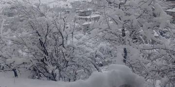 Hakkari kar hapsinde